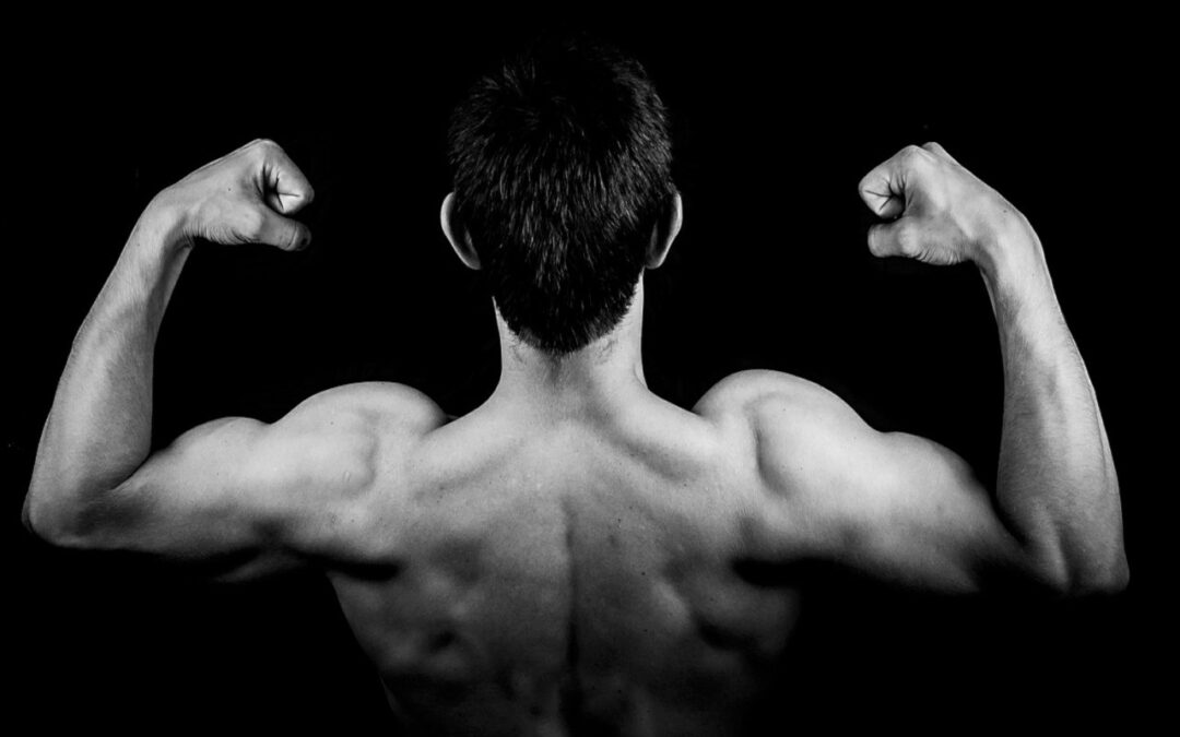 What Are Muscle Building Steroids?